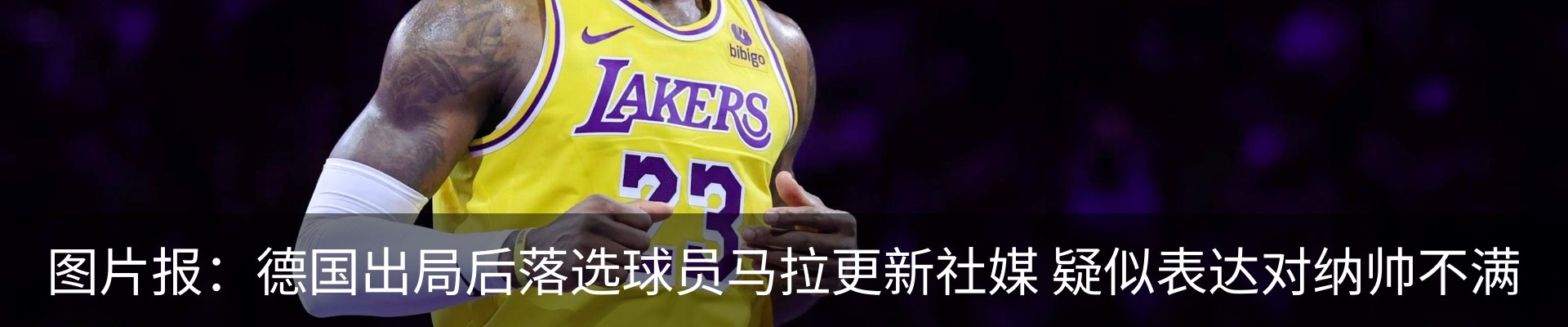 最新动态