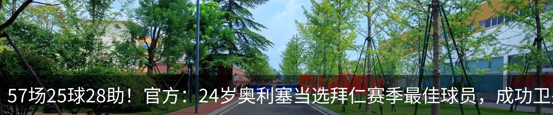 最新动态